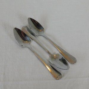 Lot of 3 RSVP Endurance Grapefruit Citrus Spoon 6" Stainless Steel Japan Fruit